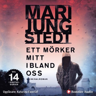 Anders Knutas: Ett mörker mitt ibland oss - Mari Jungstedt - Lydbok - Bonnier Audio - 9789176518670 - 1. juni 2018