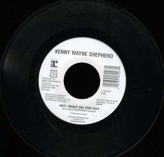 Cover for Kenny Wayne Shepherd · Alive (7&quot;) (2004)