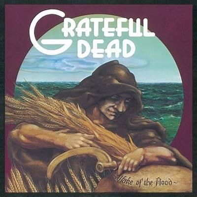 Cover for Grateful Dead · Wake of the Flood 50th Annive (CD) (2024)