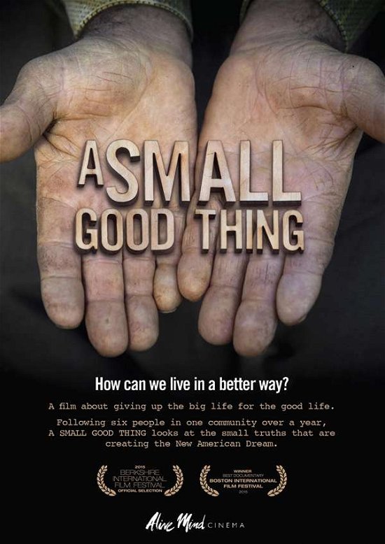 Cover for Small Good Thing (DVD) (2017)