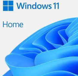 Windows Home 11 64Bit FPP Deutsch USB - - Produtos - Microsoft - 0889842966671 - 1 de maio de 2024