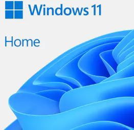 Windows Home 11 64Bit FPP Deutsch USB (TILBEHØR) (2024)
