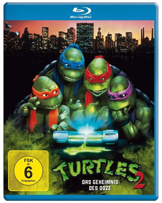 Turtles 2-das Geheimnis Des - Turtles - Filme - Alive Bild - 4042564151671 - 20. Juni 2014