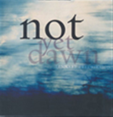 Not Yet Dawn - Fredriksson,lennart / Granlund / Almgren - Musique - PHS - 7391971001671 - 5 juin 2006