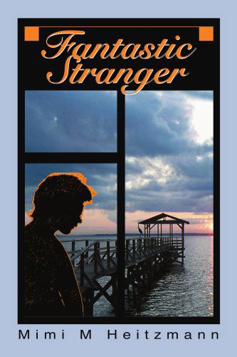 Cover for Mimi Heitzmann · Fantastic Stranger (Paperback Book) (2003)