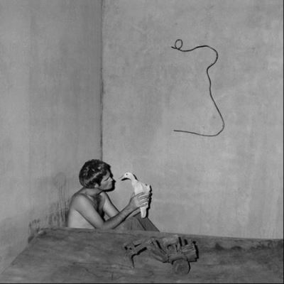 Cover for Roger Ballen · Contemplation  2008 (Hardcover Book) (2009)