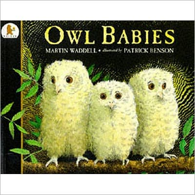 Owl Babies - Martin Waddell - Books - Walker Books Ltd - 9780744531671 - September 8, 1994