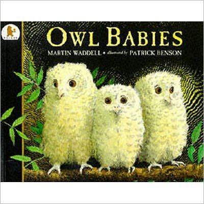 Cover for Martin Waddell · Owl Babies (Paperback Book) [New edition] (1994)