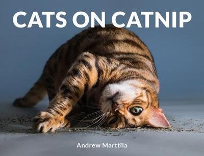 Cover for Andrew Marttila · Cats on Catnip (Inbunden Bok) (2018)