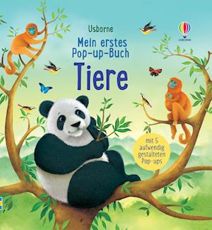 Cover for Mein erstes Pop-up-Buch: Tiere (Book) (2024)