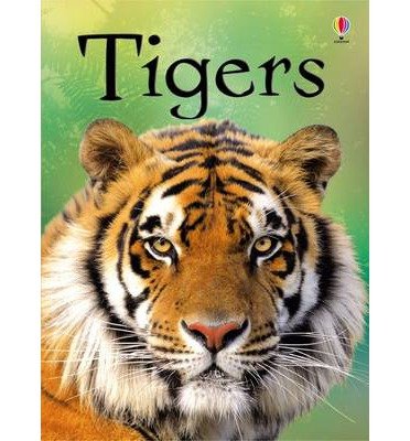 Tigers - Beginners - James Maclaine - Bücher - Usborne Publishing Ltd - 9781409530671 - 1. Juni 2012