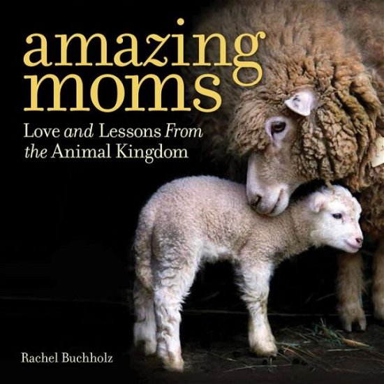 Cover for Rachel Buchholz · Amazing Moms: Love and Lessons From the Animal Kingdom (Hardcover Book) (2016)