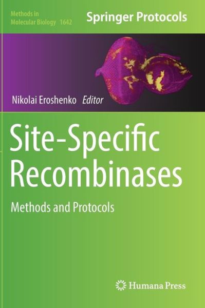 Site Specific Recombinases - - Livros - Humana Press Inc. - 9781493971671 - 17 de agosto de 2017