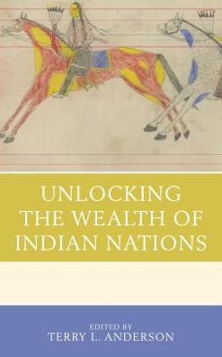Cover for Unlocking the Wealth of Indian Nations (Hardcover Book) (2016)