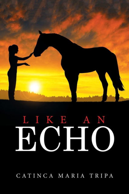 Catinca Maria Tripa · Like an Echo (Paperback Book) (2015)