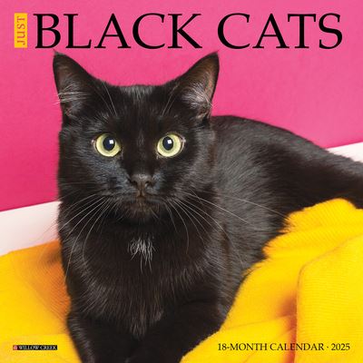 Willow Creek Press · Just Black Cats 2025 7 X 7 Mini Wall Calendar (Kalender) (2024)