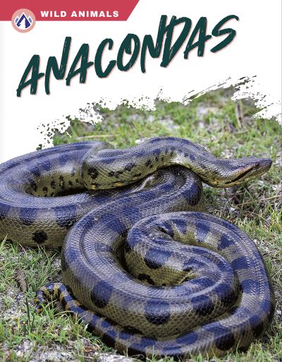 Cover for James Bow · Anacondas (Paperback Book) (2023)