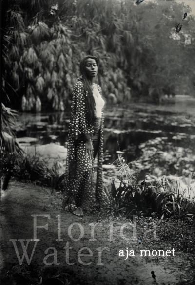 Cover for Aja Monet · Florida Water: Poems (Pocketbok) (2024)