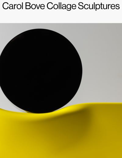 Carol Bove: Collage Sculptures - Carol Bove - Books - David Zwirner - 9781644230671 - March 3, 2022