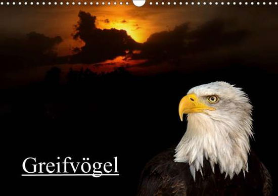 Cover for Klatt · Greifvögel (Wandkalender 2020 DIN (Book)