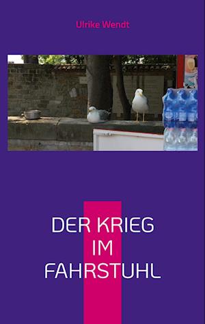 Cover for Ulrike Wendt · Der Krieg im Fahrstuhl (Book) (2022)