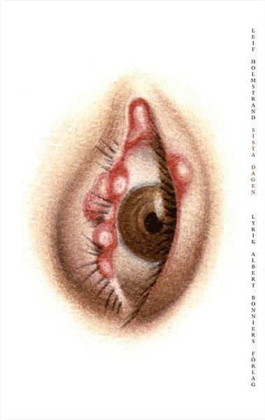 Cover for Leif Holmstrand · Sista dagen (ePUB) (2016)