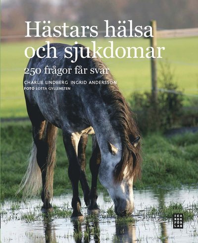 Cover for Charlie Lindberg · Hästars hälsa och sjukdomar : 250 frågor får svar (Bound Book) (2010)