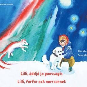 Cover for Anita Midbjer Elin Marakatt · Lilli, farfar och norrskenet (umesamiska och svenska) (Paperback Book) (2020)