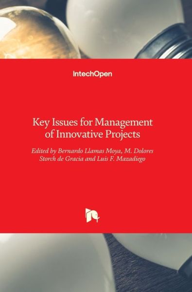 Cover for Bernardo Llamas · Key Issues for Management of Innovative Projects (Hardcover bog) (2017)