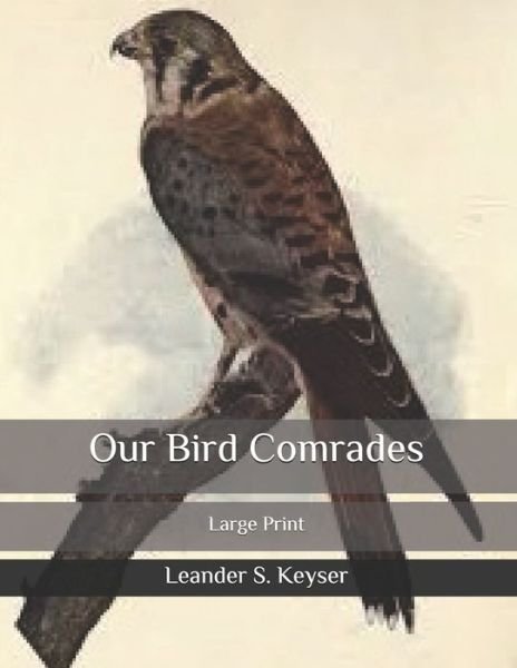 Cover for Leander S Keyser · Our Bird Comrades (Paperback Book) (2020)