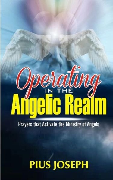 Cover for Pius Joseph · Operating in the Angelic Realm (Paperback Book) (2020)