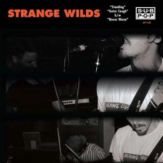 Cover for Strange Wilds · Standing (LP) [Standard edition] (2015)
