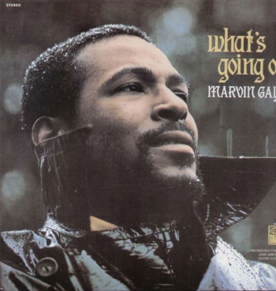 Cover for Marvin Gaye · What's Going on (LP) (2005)