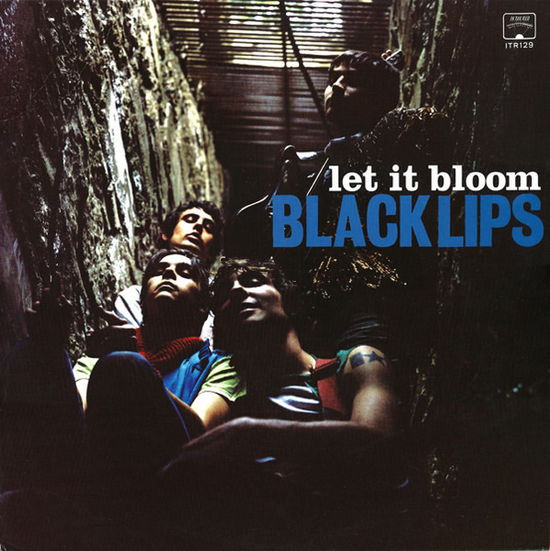 Cover for Black Lips · Let It Bloom (LP) [Coloured edition] (2023)