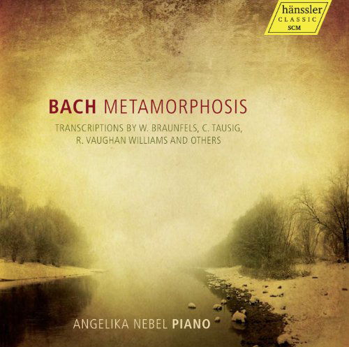 Cover for Bach / Nebel · Bach Metamorphosis (CD) (2013)