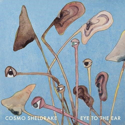 Cover for Cosmo Sheldrake · Eye to the Ear (LP) (2024)