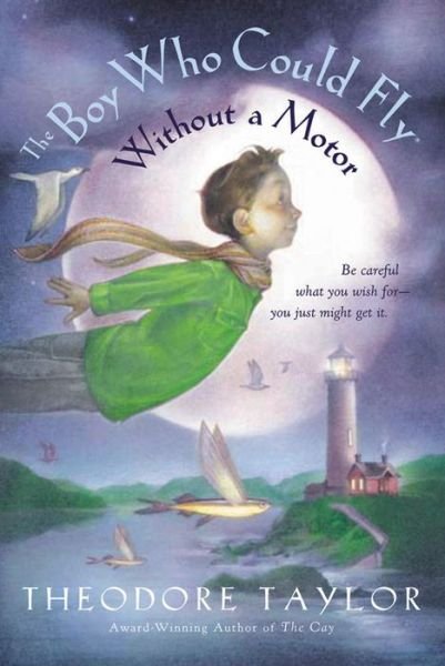 Cover for Theodore Taylor · The Boy Who Could Fly Without a Motor (Paperback Book) [Reprint edition] (2004)