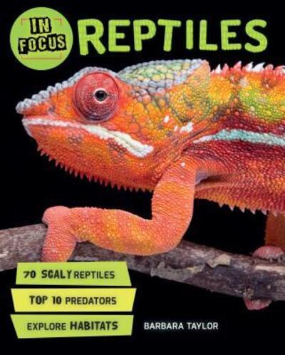 Cover for Barbara Taylor · In Focus: Reptiles - In Focus (Hardcover Book) (2017)