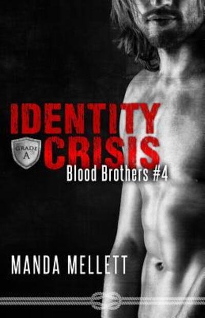 Cover for Manda Mellett · Identity Crisis: Blood Brothers #4 - Blood Brothers (Pocketbok) (2017)