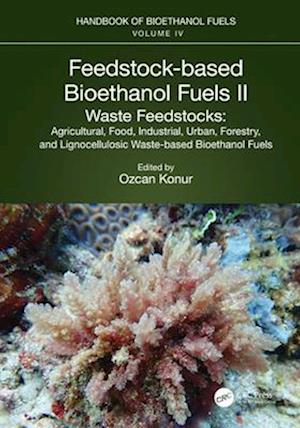 Cover for Feedstock-based Bioethanol Fuels. II. Waste Feedstocks: Agricultural, Food, Industrial, Urban, Forestry, and Lignocellulosic Waste-based Bioethanol Fuels (Paperback Book) (2025)
