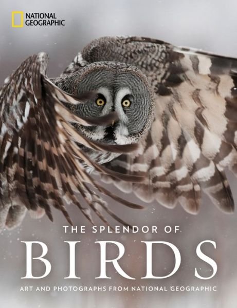 Cover for National Geographic · The Splendor of Birds: Art and Photography From National Geographic (Hardcover bog) (2018)