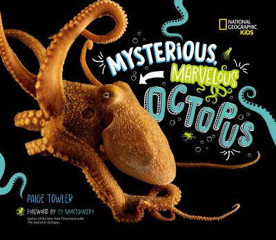 Cover for Paige Towler · Mysterious, Marvelous Octopus! (Hardcover Book) (2024)