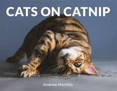 Cover for Andrew Marttila · Cats on Catnip (Hardcover Book) (2018)