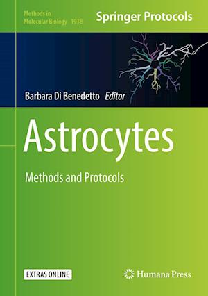 Cover for Astrocytes (Book) [1st ed. 2019 edition] (2019)