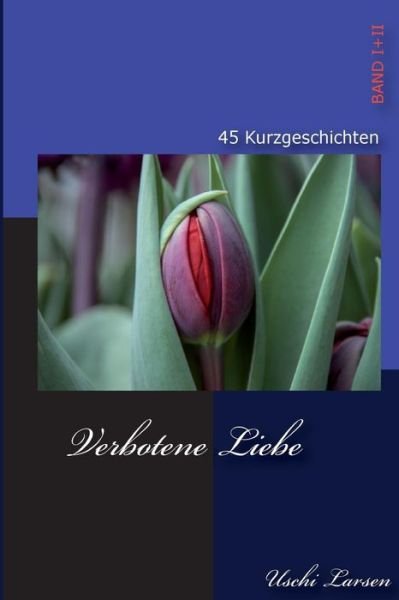 Cover for Uschi Larsen · Verbotene Liebe: 45 Erotische Kurzgeschichten (Paperback Book) (2014)