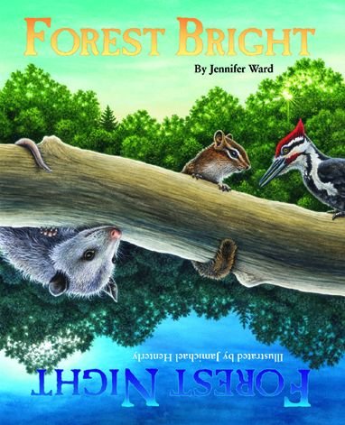 Forest Bright, Forest Night - Jennifer Ward - Books - Sourcebooks, Inc - 9781584690672 - March 1, 2005