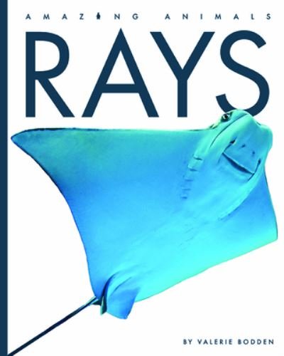 Cover for Valerie Bodden · Rays (Pocketbok) (2022)