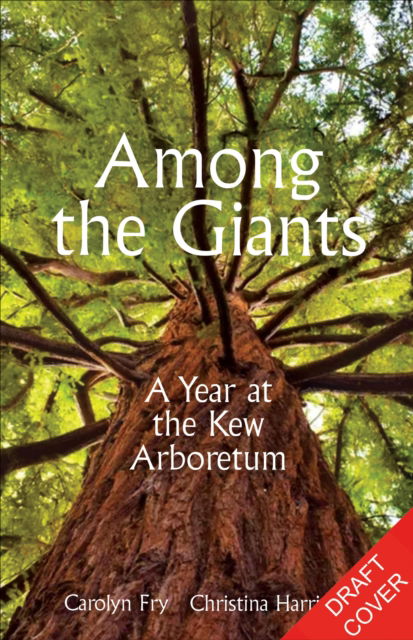 Cover for Kew Gardens · Among the Giants: A Year at the Kew Arboretum (Hardcover Book) (2025)