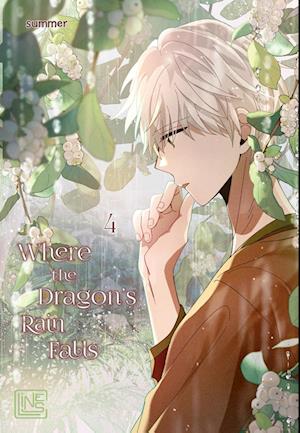 Cover for Summer · Where the Dragon's Rain Falls 4 (Book) (2024)