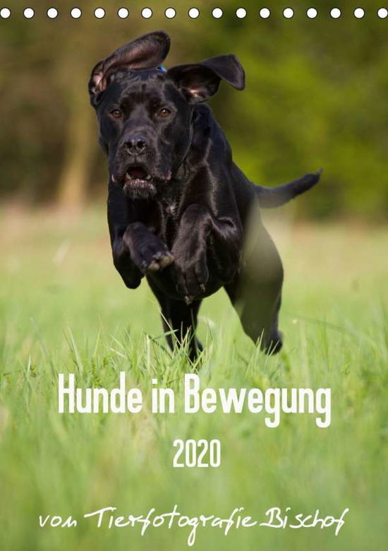 Cover for Bischof · Hunde in Bewegung 2020 von Tier (Book)